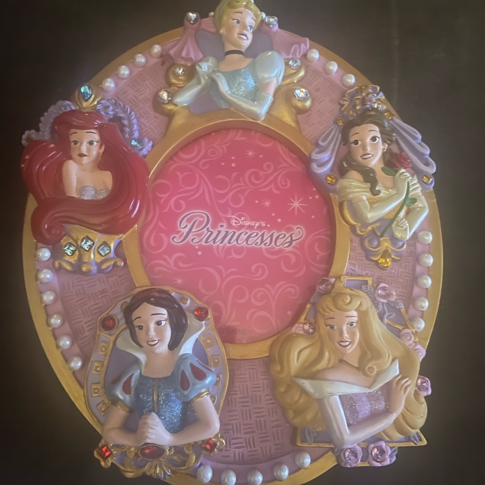 Vintage Disney Princesses Frame
